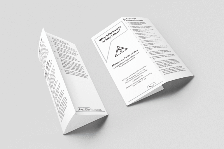 two folded brochures
