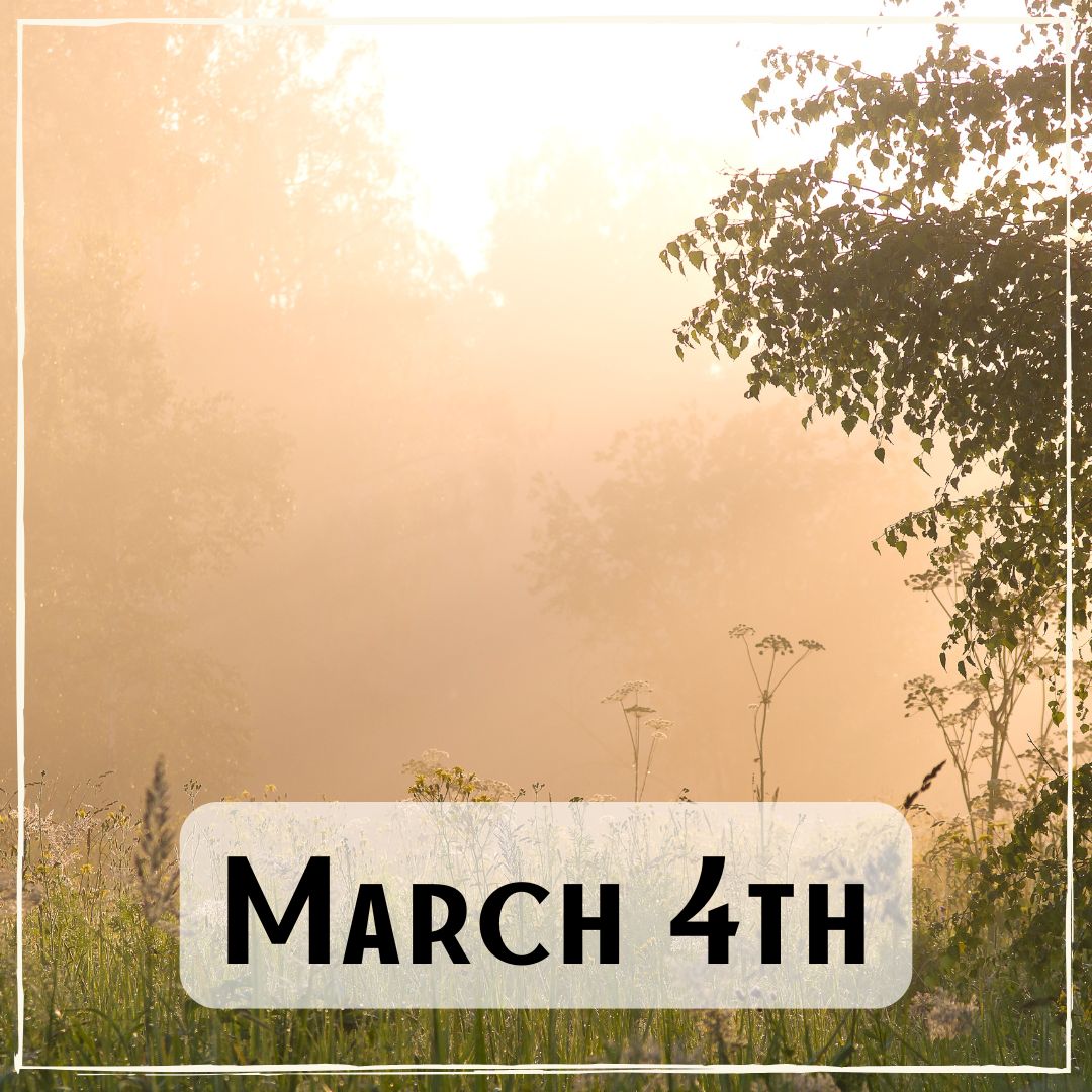 March 4th - a foggy meadow at sunrise