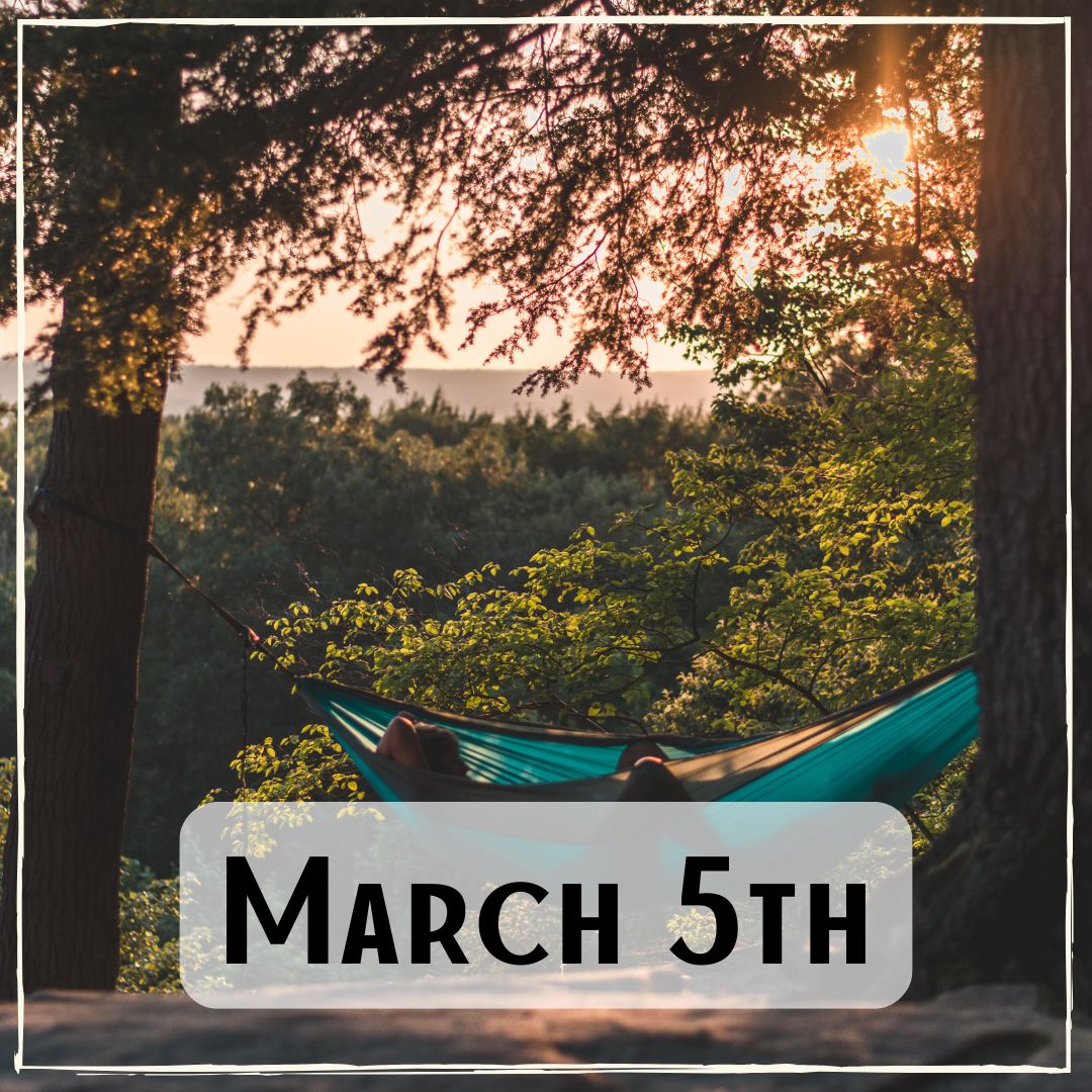 March 5th - a person laying in a hammock between two trees