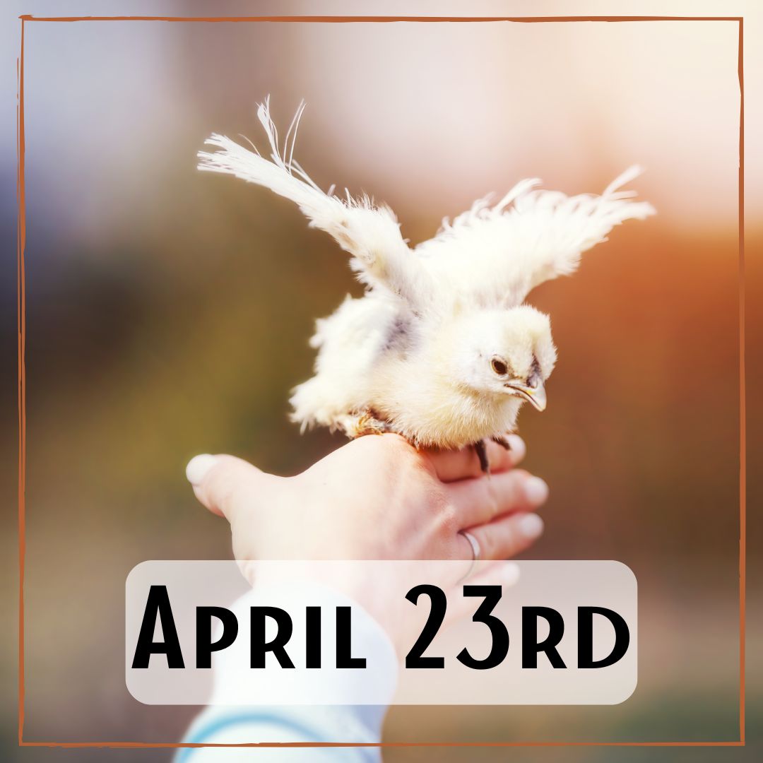 April 23rd - a person with a bird landing on their hand