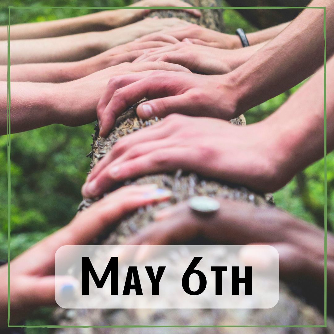 May 6th - multiple peoples hands resting on a tree trunk