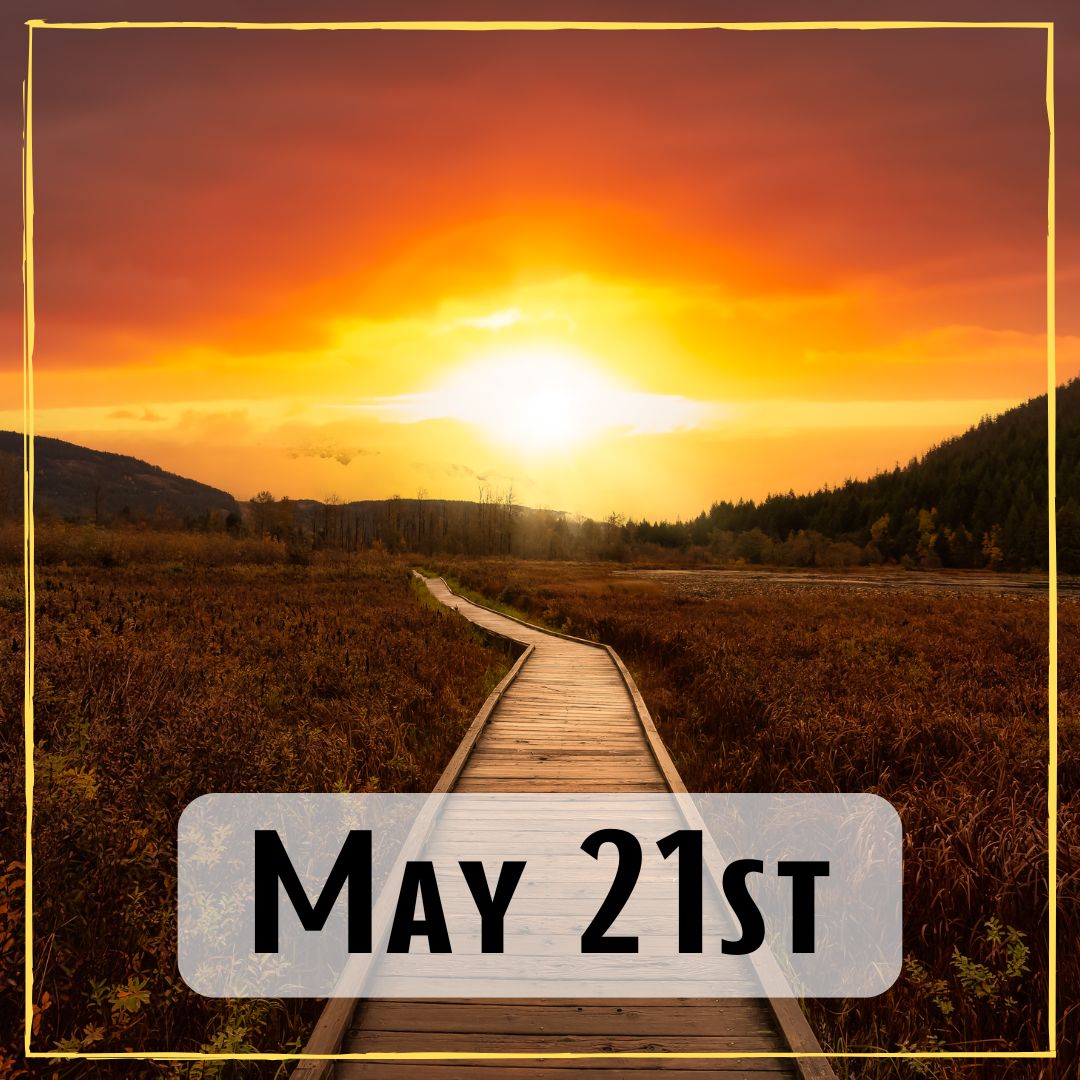May 21st - a wooden path at sunrise