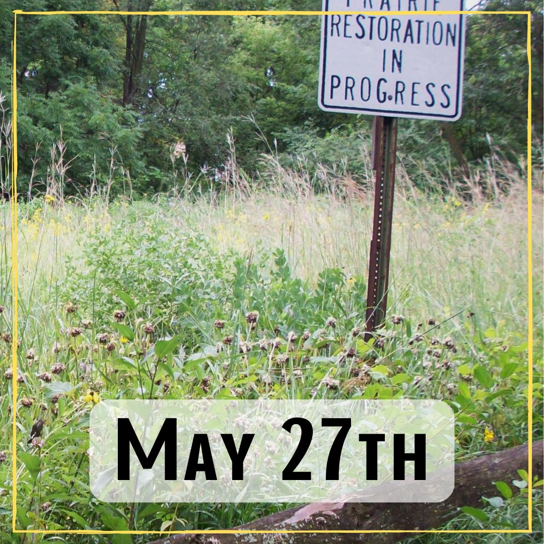 May 27th - a field with a sign that says, "restoration in progress"
