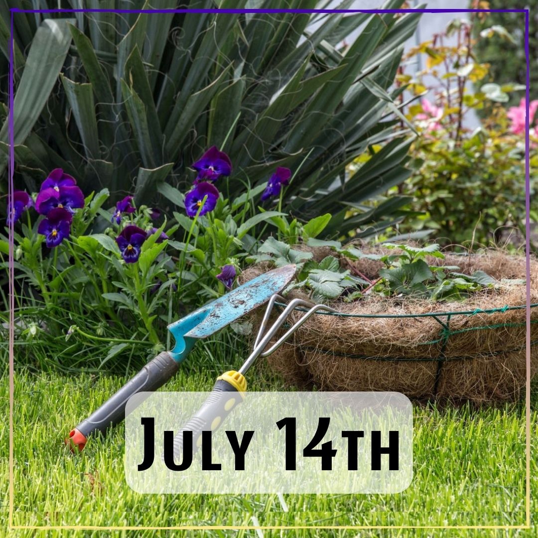 July 14th - a garden with gardening tools