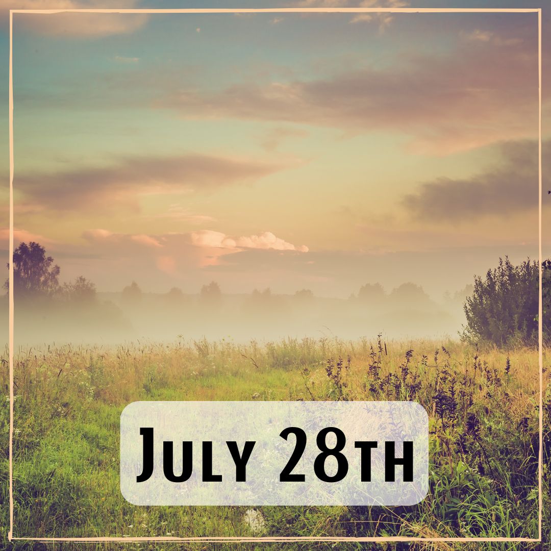 July 28th - a hazy meadow at sunrise