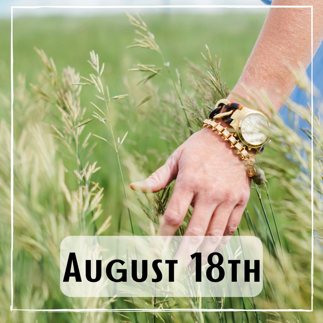 August 18th - a person running their hand over tall grasses