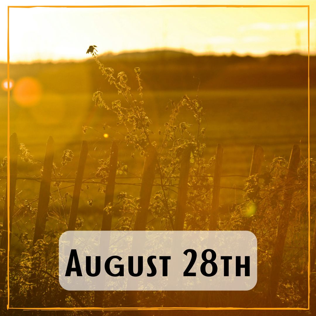 August 28th - a field at sunrise