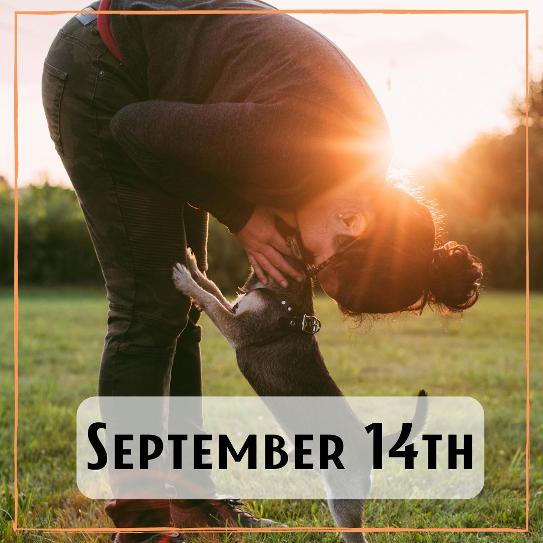 September 14th - a person reaching down to kiss their dog