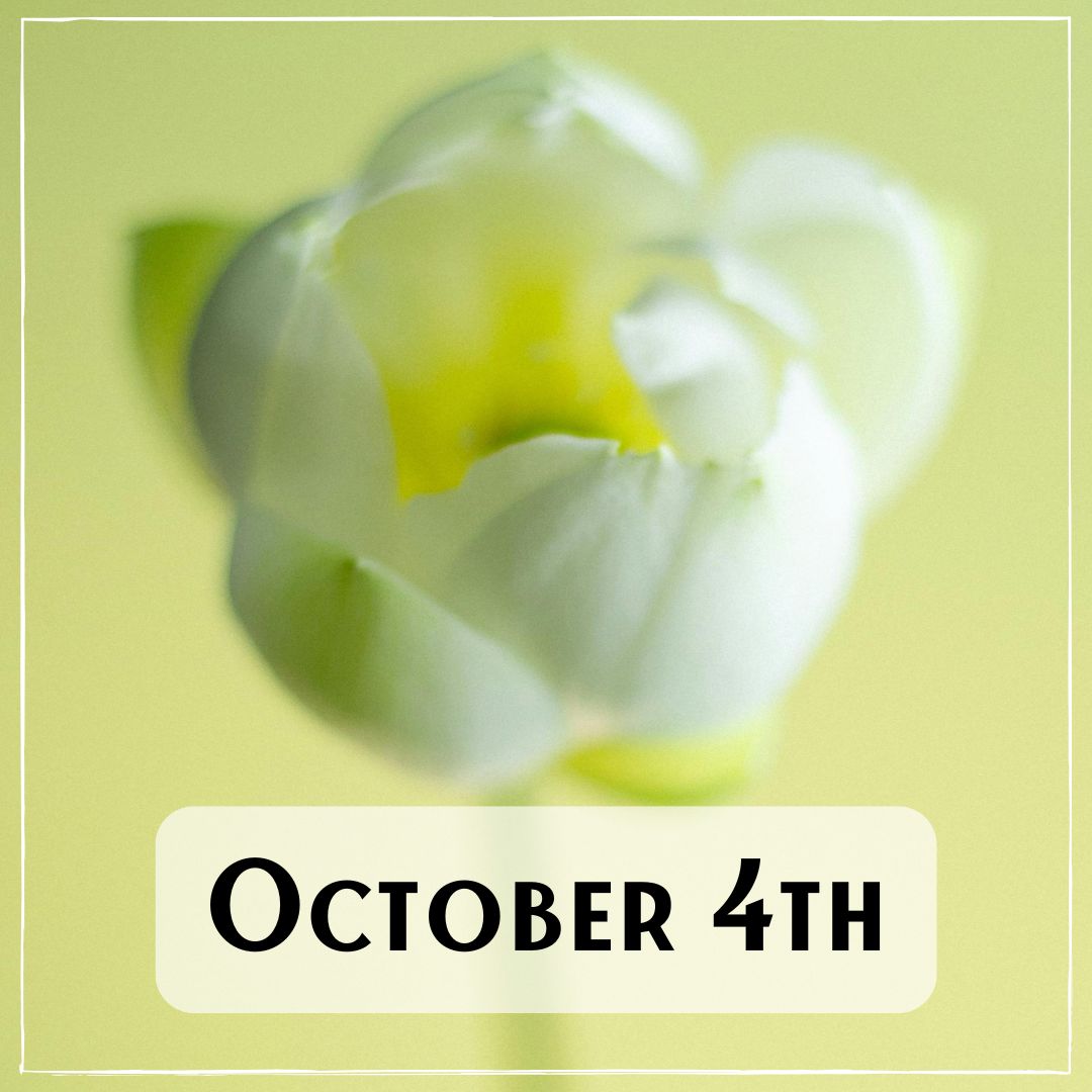 October 4th - a white blossoming flower