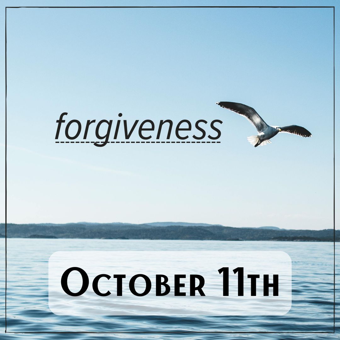 October 11th - a seagull flying over the ocean with the word "forgiveness"
