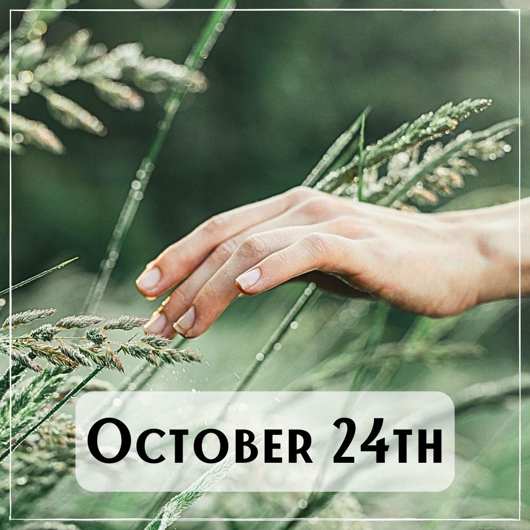 October 24th - A hand touching wheat