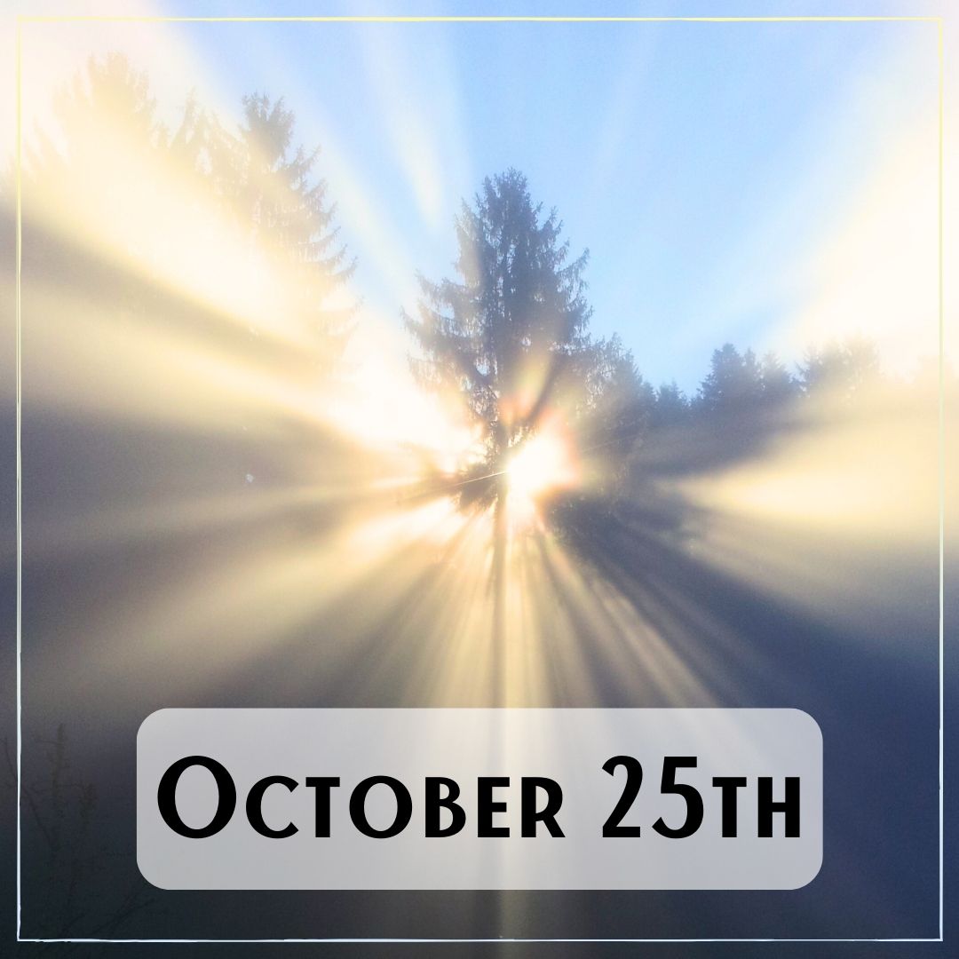 October 25th - Sunlight streaming through trees
