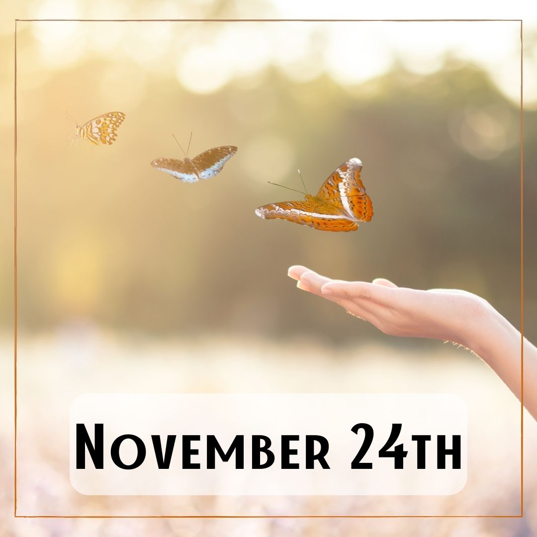 November 24th - a trail of butterflies and a person's hand