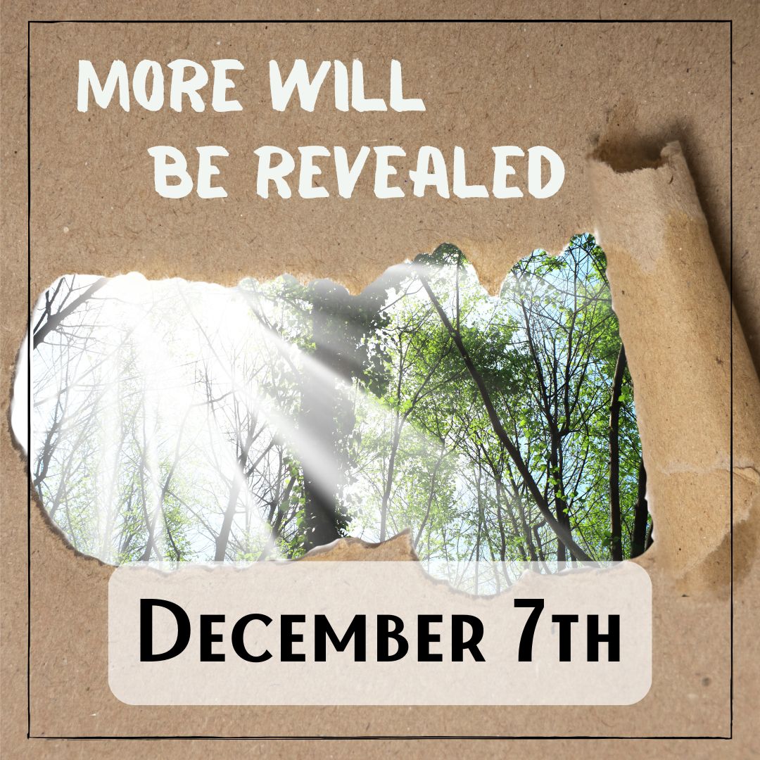 December 7th - a torn paper revealing trees with light shining through and the text, "more will be revealed"
