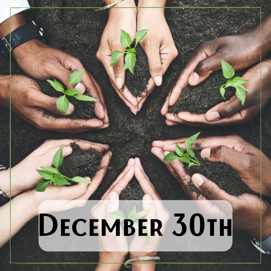 December 30th - the hands of six people holding a sprouted plant in dirt. The hands make a shape similar to a snow flake