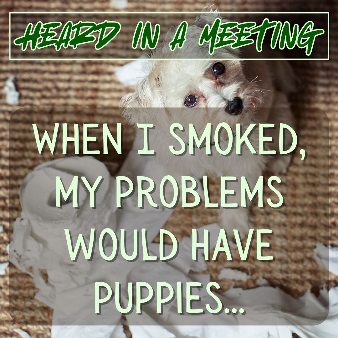 Heard in a Meeting When I smoked my problems would have puppies... Image: a puppy that has torn up a roll of toilet paper