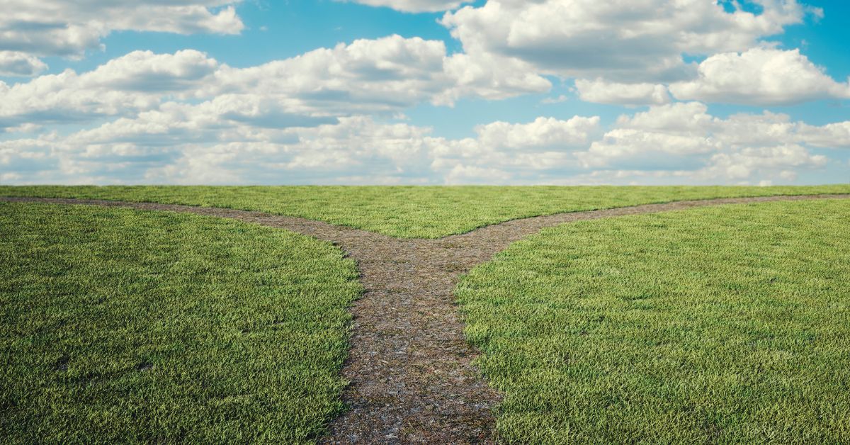 a blue cloudy sky, and a field with a pathway that splits into two directions