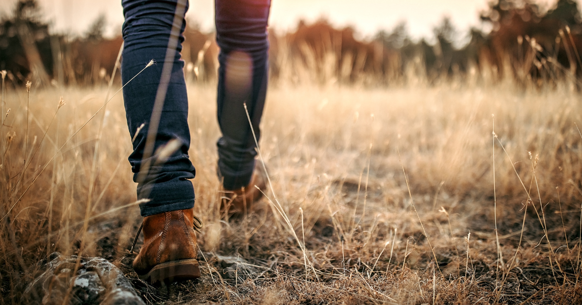 person walking in field