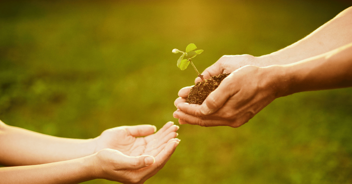 A person with a plant with soil in their hand passing it on to someone else