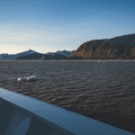 Making It To Dry Land