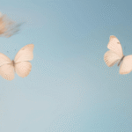 Where The Butterflies Live