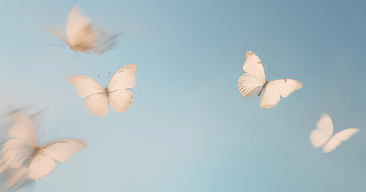 butterflies
