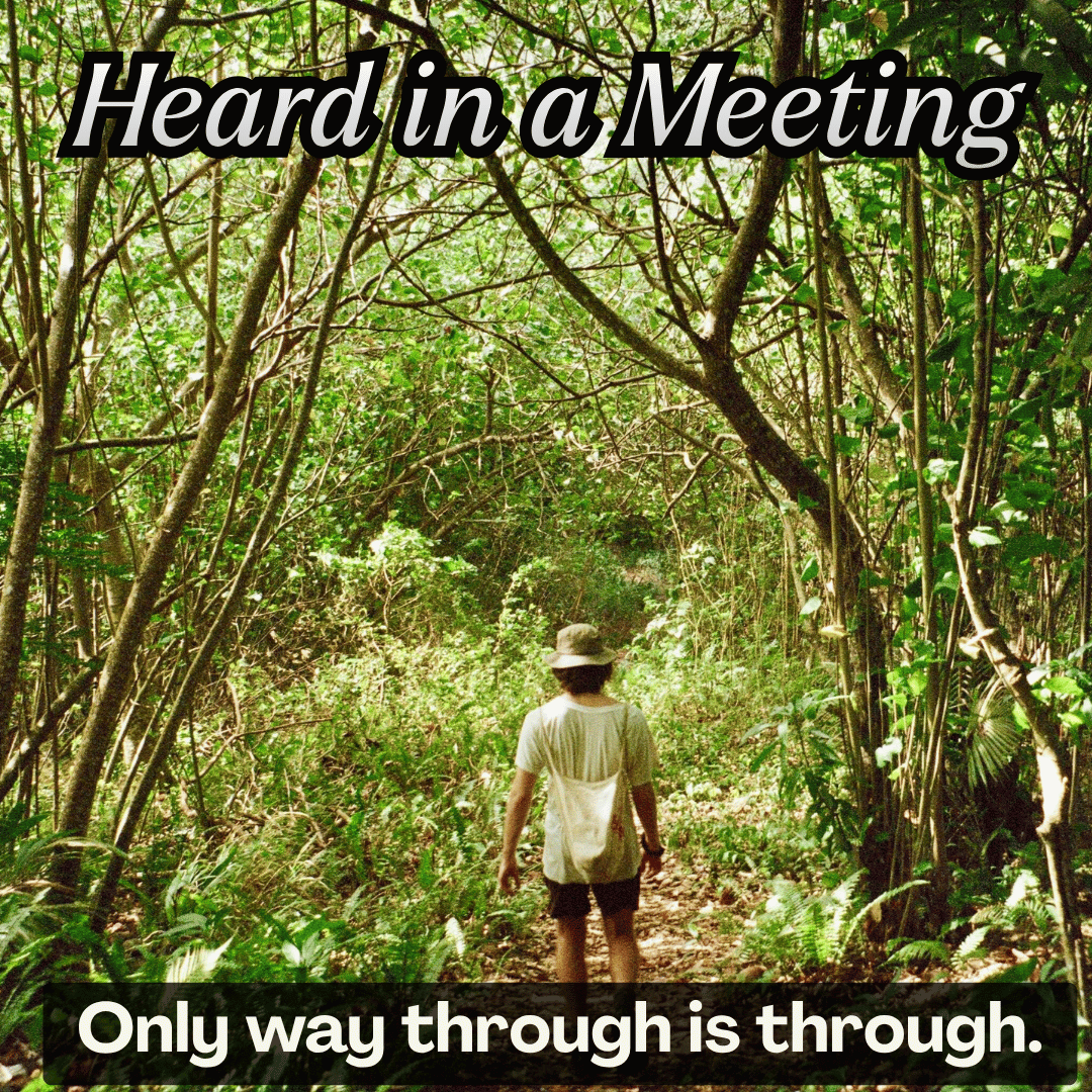 Heard in a Meeting "Only way through is through" Image: a person wandering in a forest