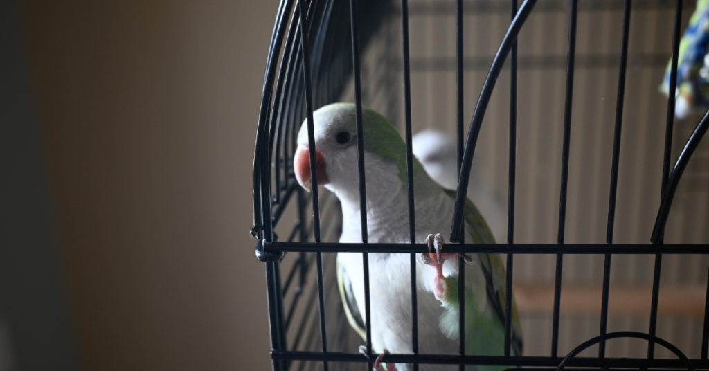 It’s Time To Fly