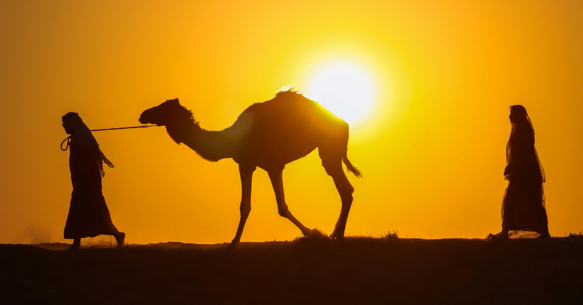 Desert landscape at sunset, one person walks in front of a camel on a lead and another person walking behind them
