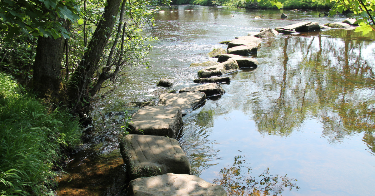 rock step stones across water